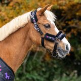 QHP Komplet oglavke Isalyn, Unicorn Dream - Pony Cene
