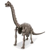 4m Iskopaj Dino Brahlosaurus | ePonuda.com
