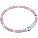 varnostna LED ovratnica Puppy, roza - do 45 cm