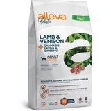 Diusapet alleva hrana za pse holistic medium/maxi adult - jagnjetina i srnetina 2kg Cene