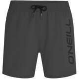 O'neill Kopalne hlače 'Logo 16' siva / črna | Shoptok.si