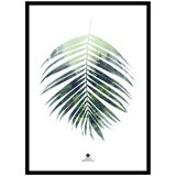 Malerifabrikken Plakat z okvirjem 50x70 cm Palm Leaf – | Shoptok.si