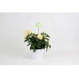 Venso Svetilka SUNLiTE 7W - zelena Cene