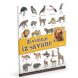 Data Status Panorama: životinje iz savane Cene