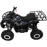 Quad na bencin WILDPEAK 110cc - črn | Shoptok.si