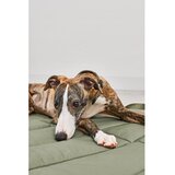 MiaCara Zeleni putni krevetić za pse 70x100 cm Strada Grolive M – | shoptok.hr