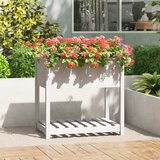 Maison Chic Visoka greda - Greda - Cvetlični Lonec s polico bela 82,5x54x81 cm trdna borovina, (21790455) | Shoptok.si