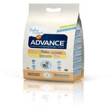 Advance Cat Kitten - piščanec in riž 400 g | Shoptok.si