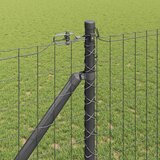 Euro ograda s špicama 10 x 1,4 m Čelik premazan PVC-om Siva | Eponuda.com