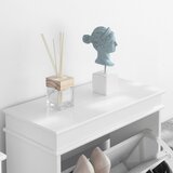 SoBuy ozka omara za čevlje v predsobi v beli barvi v skandinavskem slogu, (20814990) | Shoptok.si