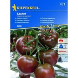KIEPENKERL Solatni paradižnik Sacher Kiepenkerl (Solanum lycopersicum) Cene