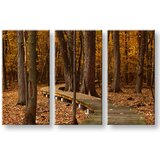  Slike na platnu drveće | ePonuda.com