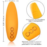 California Exotic Novelties vibrator "hollywood hottie" (R13456) | Shoptok.si