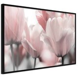  Poster - Pastel Tulips II 30x20 | shoptok.hr