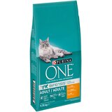 Purina ONE Adult piščanec & polnovredne žitarice - 9,75 kg Cijene