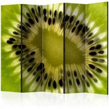  Paravan u 5 dijelova - fruits: kiwi II [Room Dividers] 225x172 Cijene