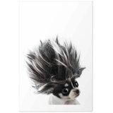 Plakat - Chihuahua 21x30 Bez okvira s margom | shoptok.hr