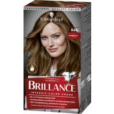 Schwarzkopf Brillance barva za lase - Intensive Color Cream - 864 Fawn | Shoptok.si