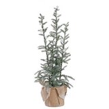 Deco wood, drvo u saksiji, sa sijalicama, 80cm ( 753033 ) Cene