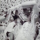 Bjork Bjork - Vespertine Cene