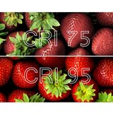  LED sijalica MINI E14/6W/230V 2700K CRI 96 Ra | Eponuda.com