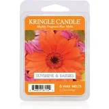 Sunshine & Daisies vosek za aroma lučko 64 g