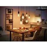 Philips LED prigušiva sijalica Philips Hue WHITE FILAMENT G125 E27/7W/230V 2100K | Eponuda.com