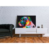 Slika za samostalno slikanje - Colourful Boxer 60x40 | shoptok.hr