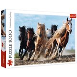 Trefl line 10446 puzzle 1000 konji ( t10446 ) cene