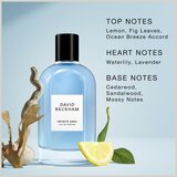 David Beckham Infinite Aqua parfumska voda za moške 100 ml | Shoptok.si