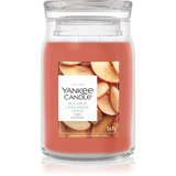 Yankee Candle Sugared Cinnamon Apple dišeča sveča 567 g Cene