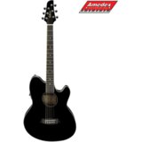  GITARA EL.-AK. IBANEZ TCY10EBK Cijene