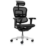 Ergohuman radna stolica - 400374 | ePonuda.com