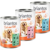  Poskusno pakiranje Briantos Delicious Paté - 24 x 400 g | shoptok.hr