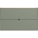 Germania Zelen/siv set za hodnik Ameca – | Shoptok.si