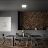 BRILONER 7070-016 - led plafonsko svetlo flame LED/16W/230V belo | Eponuda.com