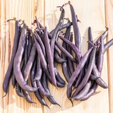 BIO grmičasti fižol “Reine des Pourpres” - 80 g | Shoptok.si