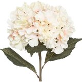 Atmosphera UMJETNO CVIJEĆE HORTENZIJA 83CM PES/PP PINK Slike