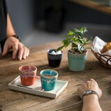Costa Nova Oranžna skodelica za espresso iz kamenine 100 ml Grespresso – | Shoptok.si