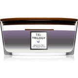 WoodWick Trilogy Amethyst Sky mirisna svijeća s drvenim fitiljem (hearthwick) 453,6 g | shoptok.hr