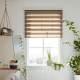 Premium Living dvojni rolo thomas | Shoptok.si
