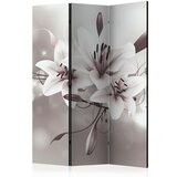  Paravan u 3 dijela - Favourite of Kings [Room Dividers] 135x172 | shoptok.hr