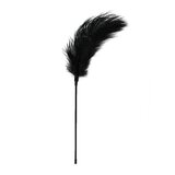 Easytoys Fetish Collection Black Feather Tickler | Shoptok.si