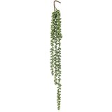 Bloomingville Umjetna biljka (visina 71 cm) Pearl – Cijene
