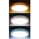 solight WD242-S - LED panel 2 u 1 18W/230V 3000/4000/6000K prečnik 22,5 cm IP54 plafonski | Eponuda.com