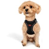 Paws & Whiskers Am za pse Air-Mesh, Crni | Eponuda.com
