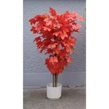 javor crveni 140cm A10388