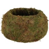 Esschert Design Kokedama krogla - L cene