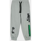 Sinsay Oversize jogger trenirke Minecraft Slike