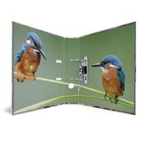 Herma registrator Animals, A4, 70 mm, ptice | Shoptok.si